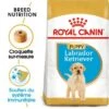 ROYAL CANIN Labrador Retriever Chiot Croquettes Chien 3 Kg -Meilleure Animalerie 2a9e860c70179725bbdfcf662f4a8ff994739429 1002892005 fr FR labpup 2