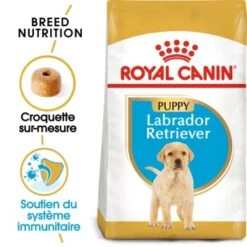 ROYAL CANIN Labrador Retriever Chiot Croquettes Chien 3 Kg