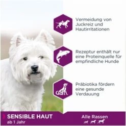 EUKANUBA Daily Care Peau Sensible 12 Kg -Meilleure Animalerie 2ac8b12e9bbcd9f97aaad7e0b275ab1a12aadd10 9080130ab11389ec72354c5ef3b9e725118015a6