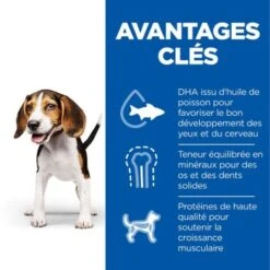 Hill's Science Plan Puppy Au Poulet 12 x 370 g 11 Hill's Science Plan Puppy Au Poulet 12 x 370 g -Meilleure Animalerie 2ba6257e974acb98050395c4f807269110ac29cd 52742050874 4