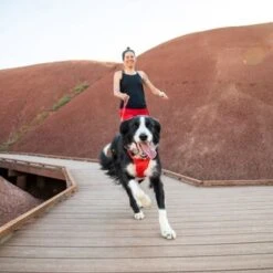 Ruffwear Harnais Front Ange Rouge L -Meilleure Animalerie 2c4c58677a805f5ed728c9a84ab419923379a1c2 b447b2155fd879cf54395be57d9a3fb90e997bda