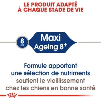 ROYAL CANIN Maxi Ageing 8+ Croquettes Chien 3 Kg 7 ROYAL CANIN Maxi Ageing 8+ Croquettes Chien 3 Kg – Image 5