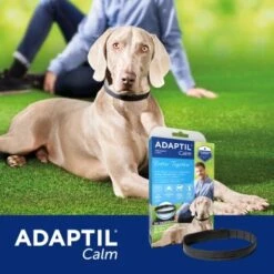 ADAPTIL Collier Calm M-L -Meilleure Animalerie 2d81b14b168fd0ba08275244060b8ffce6157257 1204441 6