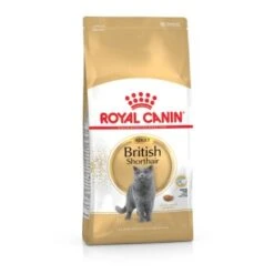 ROYAL CANIN British Shorthair Adulte Croquettes Chat 10 Kg -Meilleure Animalerie 2dadc3acc363fadfc2d7183ef5a578d92c211dc7 1003122009 fr FR rc 1