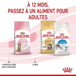 ROYAL CANIN Stérilisé Chaton Croquettes Chat 2 Kg 19 ROYAL CANIN Stérilisé Chaton Croquettes Chat 2 Kg -Meilleure Animalerie 2ddac7733bb9f99e5fead2ccb02e5b769468e3db 1014711 fr FR kittensteril 15 Kopie