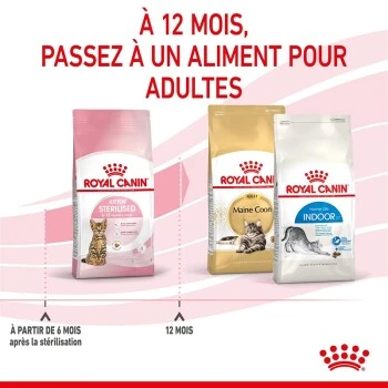 ROYAL CANIN Stérilisé Chaton Croquettes Chat 2 Kg 10 ROYAL CANIN Stérilisé Chaton Croquettes Chat 2 Kg – Image 8