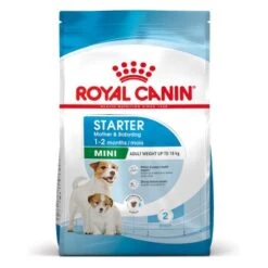 ROYAL CANIN Mini Starter Croquettes Chien 4 Kg 23 ROYAL CANIN Mini Starter Croquettes Chien 4 Kg -Meilleure Animalerie 2e886c808088d3fe5a9efd18b673e91ff391416f 1377914 fr FR ministarter 23 Kopie