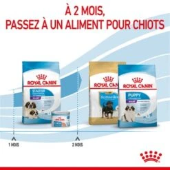 ROYAL CANIN Giant Starter Croquettes Chien 15 kg -Meilleure Animalerie 3300692ce76671f71f7ec4b4b9e4ad8fb0d42770 1082865 fr FR giantstarter 7