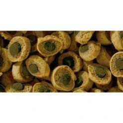 Sera Reptil Professional Herbivor 1 L -Meilleure Animalerie 33c2925ba9c36a695e8a5914642f86a3e39341fc 5af89bea59813cd06ba625fcfeb0ec2e8e3bfcd7