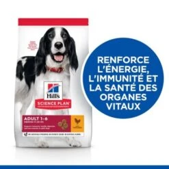 Hill's Science Plan Medium Adult 1-6 Poulet 14 Kg -Meilleure Animalerie 35051515ae35d14895318443d02051c169bb2fdf 52742025742 3