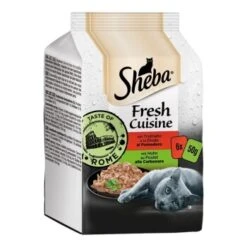 Sheba Fresh Cuisine 36x50 G Taste Of Rome