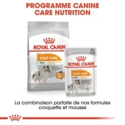 ROYAL CANIN Coat Care Nourriture Humide Chien 12 X 85 G 16 ROYAL CANIN Coat Care Nourriture Humide Chien 12 X 85 G -Meilleure Animalerie 357bdfd5f4a15170a15b3919298f9e2c04fb577c 1317076 fr FR coatwet 6