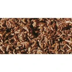 Sera FD Larves De Moustiques Rouges 250 Ml 7 Sera FD Larves De Moustiques Rouges 250 Ml -Meilleure Animalerie 35b1f3e780481b7d7c5ca7a848d2b501db2ae7cb 67490fba44e228f28f84d42e30cd17662a43e170