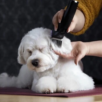 Moser Tondeuse Arco Pro 9 Moser Tondeuse Arco Pro – Image 7