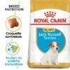 ROYAL CANIN Jack Russell Terrier Chiot Croquettes Chien 1,5 Kg