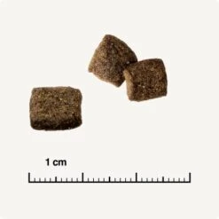 REAL NATURE WILDERNESS Adult Wide Savannah Volaille, Sanglier Et Agneau 7 Kg -Meilleure Animalerie 38c9fddfde6e364977836a7419845bd5679c428a 1267097 de DE 6 savannah 1173938004