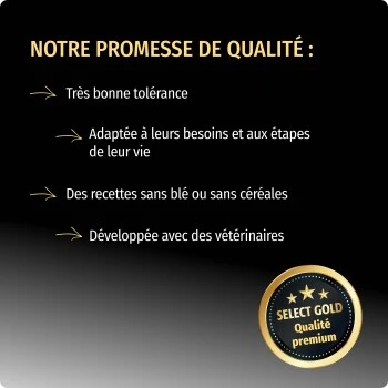 SELECT GOLD Babycat & Mother Volaille Au Riz 3 Kg 4 SELECT GOLD Babycat & Mother Volaille Au Riz 3 Kg – Image 2