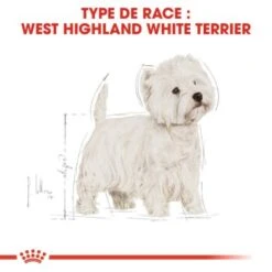 ROYAL CANIN West Highland White Terrier Adulte Croquettes Chien 1,5 Kg -Meilleure Animalerie 3bdfb615d01f6c5a3cca9a365faba5c85a0e349d 7492463d625914b51db5b4d551842d5a605b5a0d