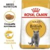 ROYAL CANIN British Shorthair Adulte Croquettes Chat 10 Kg -Meilleure Animalerie 3c7687881186ba7751fbb168a5a67e58d7f98e87 257117ea6ffc5e3b87aeaa3a011b69485170928e