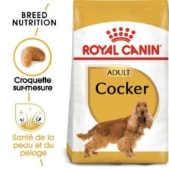 ROYAL CANIN Cocker Adulte Croquettes Chien 3 Kg