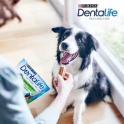 DentaLife PURINA Snacks Soins Dentaires Pour Chien Gros Paquet Medium, 84x 11 DentaLife PURINA Snacks Soins Dentaires Pour Chien Gros Paquet Medium, 84x -Meilleure Animalerie 3d22bf74a99660236ce1548620fac8aa3ac8818f 7dac1d18ca011066644ad899fee9fa3bcb5974f5