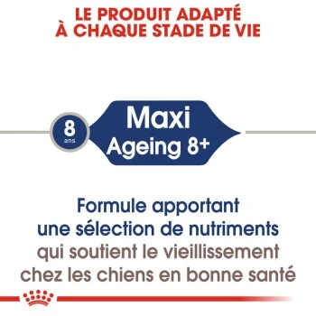 ROYAL CANIN Maxi Ageing 8+ Nourriture Humide Chien 7 ROYAL CANIN Maxi Ageing 8+ Nourriture Humide Chien – Image 5