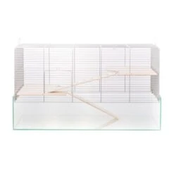 Interzoo Cage Pour Petits Animaux Aqualand -Meilleure Animalerie 3edebd7ab66cbbca3889aeb4fb1aa0e6272426c5 b70edd14fc6aeee8a46aa9bf93002353a13d31c9