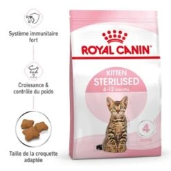 ROYAL CANIN Stérilisé Chaton Croquettes Chat 2 Kg