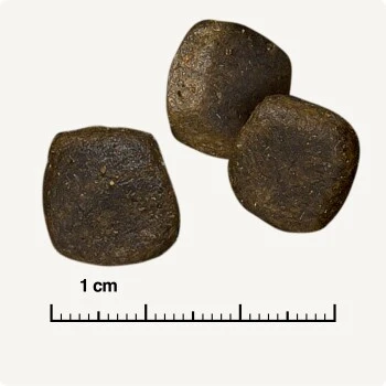 REAL NATURE WILDERNESS Maxi Adult Wide Savannah Avec Sanglier, Agneau Et Canard 12 Kg 8 REAL NATURE WILDERNESS Maxi Adult Wide Savannah Avec Sanglier, Agneau Et Canard 12 Kg – Image 6