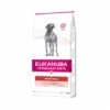 EUKANUBA Veterinary Diets Intestinal Pour Chiens Adultes 2x12 kg -Meilleure Animalerie 424b6818035eeee87ba5308f2e39df2f346af936 1386484 de DE Eukanuba intestinal 12kg main