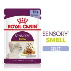 ROYAL CANIN Sensory Smell Nourriture Humide Chat 12 X 85 G