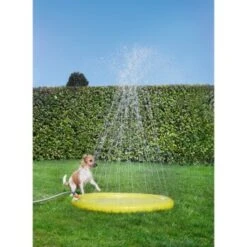 FIT+FUN Tapis De Jeu Aquatique -Meilleure Animalerie 4467bff102b4b88a5b893052af37349fca16e433 f2575409019ae6f0794f91475ed5a29bd36d3a2c