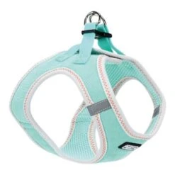 AniOne Gilet Souple Pepe&Kitty Turquoise XXXXS