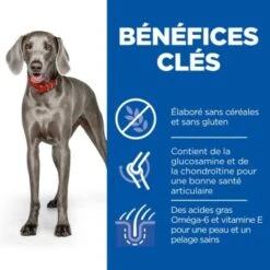 Hill's Science Plan No Grain Adult Large Breed Au Poulet Sans Céréales 14 Kg -Meilleure Animalerie 462c0ad0a3ffb557161165a2a0b237fd2a11bc6f 52742037233 4