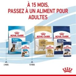 ROYAL CANIN Maxi Chiot Nourriture Humide Chien 10 X 140 G 19 ROYAL CANIN Maxi Chiot Nourriture Humide Chien 10 X 140 G -Meilleure Animalerie 463f22f89ee4ef7a8c38ce38d2eff374cf2ee4a2 1327901 fr FR puppymaxiwet 7