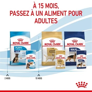 ROYAL CANIN Maxi Chiot Nourriture Humide Chien 10 X 140 G 10 ROYAL CANIN Maxi Chiot Nourriture Humide Chien 10 X 140 G – Image 8