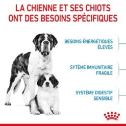 ROYAL CANIN Giant Starter Croquettes Chien 15 kg -Meilleure Animalerie 4a155130f05b9ab1f219ca4884ee9cd3cc778a58 1082865 fr FR giantstarter 4