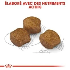 ROYAL CANIN Dental Care Medium Croquettes Chien 3 Kg -Meilleure Animalerie 4abf9867123c1469eac5c9925b762e160859db6a 1311677 fr FR dentalmed 5