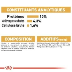 ROYAL CANIN Maine Coon Adulte Nourriture Humide Chat 12 X 85 G -Meilleure Animalerie 4b20db0eee5b464c89ed0ff50883ed414a8cf7b5 aac5dd1b3b8cf4c89d9819124edb943e78d6a12b