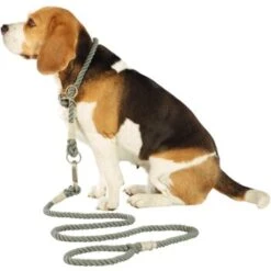 Naturally Good Laisse Gris -Meilleure Animalerie 4baddf883bb70656e6b69492b9222c65faa576b0 b9bf21bd8e7670edbcb94a99696039e95d2a63f7