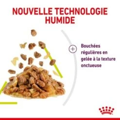 ROYAL CANIN Sensory Smell Nourriture Humide Chat 12 X 85 G 14 ROYAL CANIN Sensory Smell Nourriture Humide Chat 12 X 85 G -Meilleure Animalerie 4c4c128cd1df03ff1082a3b6622f13122a40ba3d 1368001 fr FR smelljelly 4