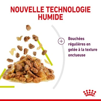 ROYAL CANIN Sensory Smell Nourriture Humide Chat 12 X 85 G 7 ROYAL CANIN Sensory Smell Nourriture Humide Chat 12 X 85 G – Image 5