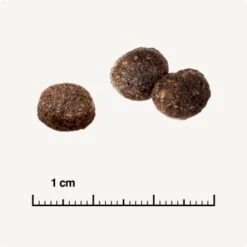 REAL NATURE WILDERNESS True Country Adult Poulet Au Poisson 7 Kg -Meilleure Animalerie 527b332672eded50c4dcdddaa1a4892456641e77 1267097 de DE 6 truecountry 1173938002