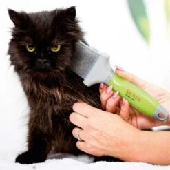 Moser Brosse Souple - Double Face -Meilleure Animalerie 5298bc713bcd66abe43731ff2e314a27161b2f69 d9795d44712d5c401af76f1f1e368e22dae7c031