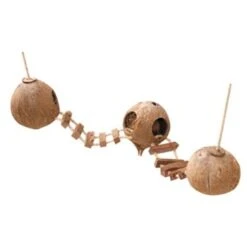 Europet Bernina 3 Noix De Coco Avec échelle Et Corde