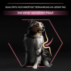 PRO PLAN Croquettes Chien Medium Adulte Sensitive Skin 14 Kg -Meilleure Animalerie 553403db249db42becb171390833d151dc763305 1206429 5