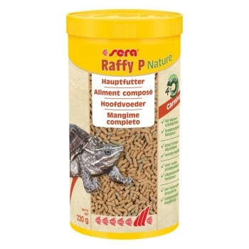 Sera Raffy P 1 L 3 Sera Raffy P 1 L