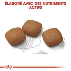 ROYAL CANIN Maxi Joint Care Croquettes Chien 3 Kg -Meilleure Animalerie 5744713f3e35f0febdd8bcdfcb4bf83289baf72f cbd20fb0bd3f8d0570ad6e70558552f507c3601b