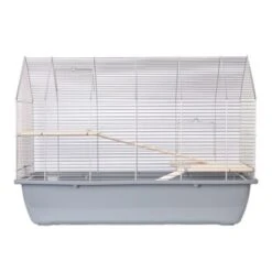 Cage Pour Rongeurs InterZoo House -Meilleure Animalerie 5764c21978290cc1bc63163ef775a8c7c96ee569 cccddb563e36de405ba92b9b39300365cbe88874