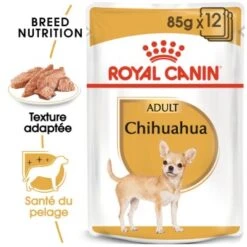 ROYAL CANIN Chihuahua Adulte Nourriture Humide Chien 12 X 85 G